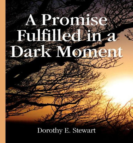 A Promise Fulfilled In A Dark Moment, De Dorothy E Stewart. Editorial Xlibris, Tapa Blanda En Inglés