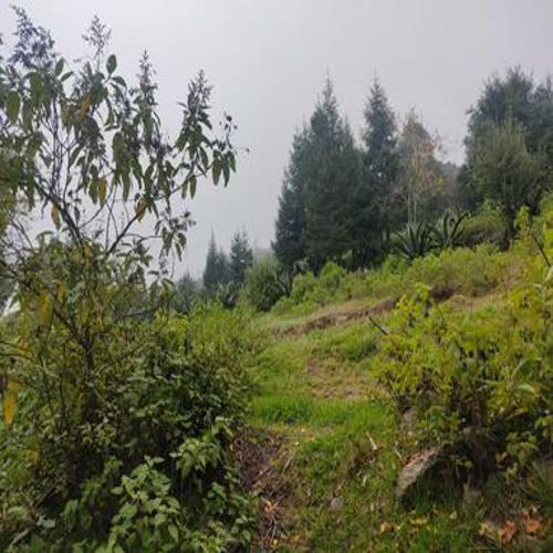 Excelente Terreno En Sta. Rosalia , Mineral Del Monte