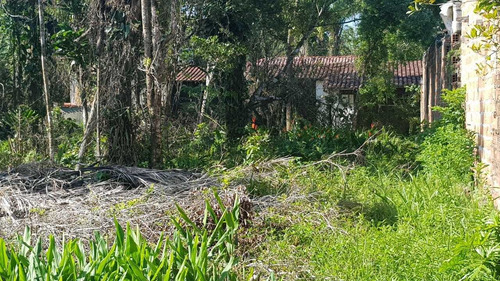 Excelente Terreno De 384 Mts No Gaivota Em Itanhaém-5127 Npc