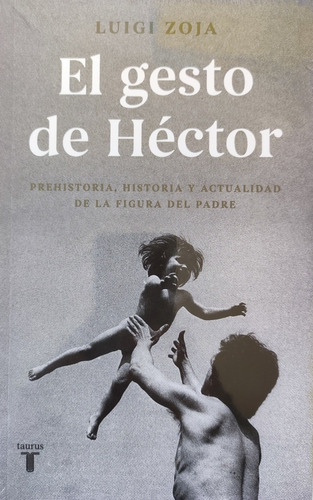 El Gesto De Héctor. Luigi Zoja. Psicología Jungiana. Sellado