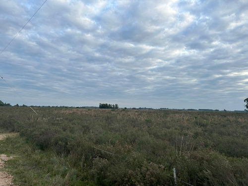 Imagen 2 de 4 de Campo A Mts De Ruta 7 - Tala