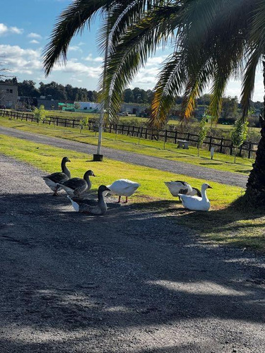 Lote En Venta Luján Barrio Los Juncos