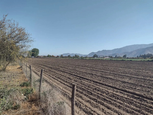 Agrícola En Venta En Lampa
