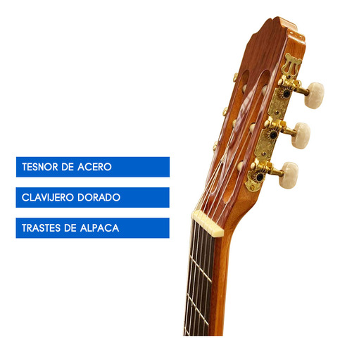 Guitarra Clásica Rómulo García F-600 Concierto - Tapa Sólida