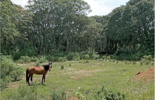 Terreno En Venta En Jilotepec Edo. De Mëxico
