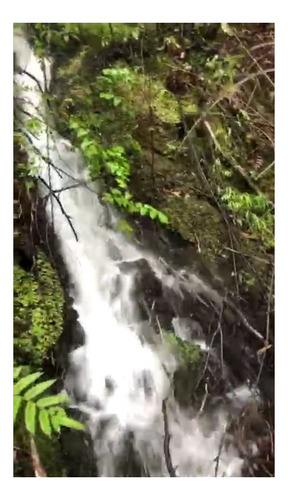 Imagen 3 de 14 de Campo Agrícola Con Orilla De Río Puelo