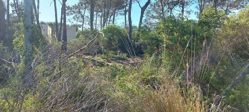 Imagen 7 de 28 de Vendo 1 O 2 Lotes De 584 M2 En Punta Del Diablo