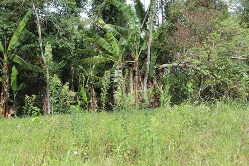 Lindo Terreno Com 7835m2 E 80% De Aproveitamento - Ch0003