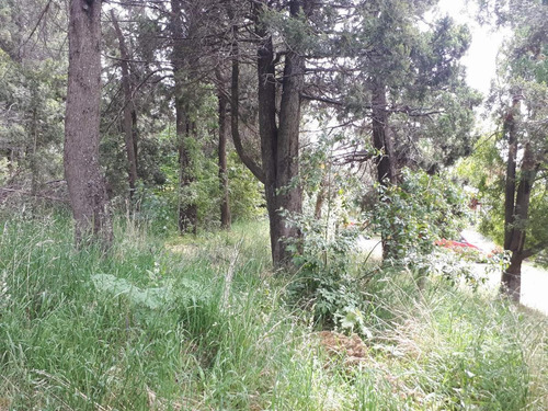 Imagen 15 de 18 de Terreno - Cerro Runge