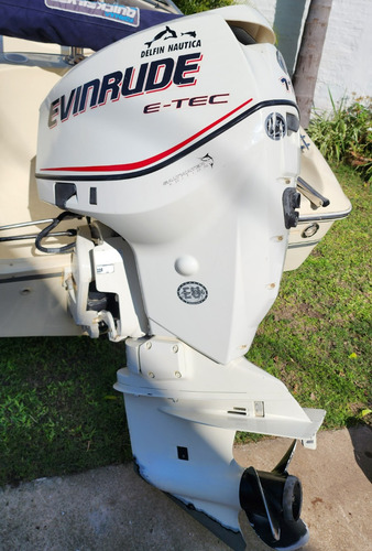 Quicksilver 1700 Evinrude Etec 115