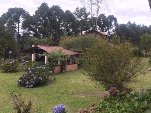 Imagem 14 de 20 de Chácara À Venda Com 101035m² Por R$ 1.500.000,00 - Agudos Do Sul / Pr - Ch0006