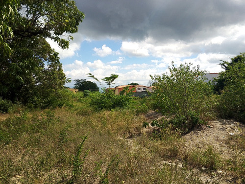 Terreno En Venta, Con Gran Potencia Comercial, Rafael Gamarra Te Ofrece, En Plena Avenida Bolivar De Los Rastrojos, Acceso Directo A La Intercomunal Barquisimeto-cabudare, Con Un Area De 9142,81 M2