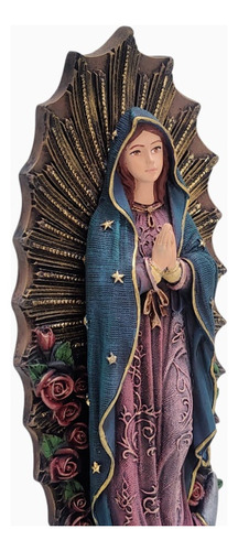 Virgen Rosa De Guadalupe 