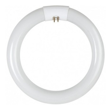 Tubo Fluorescente Circular 22 Watt