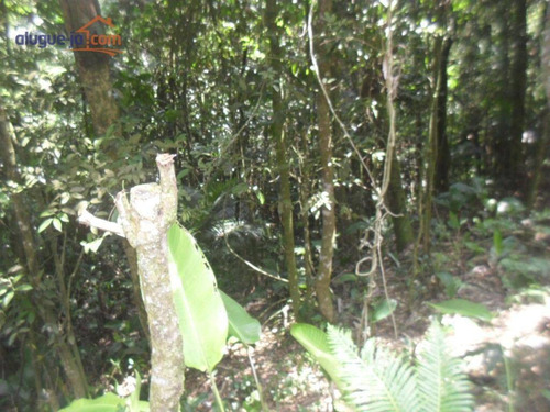 Imagem 7 de 12 de Terreno Ideal Para Chácara À Venda, 1.387 M² - Estância Alto Da Serra (ouro Fino Paulista) - Ribeirão Pires/sp - Te0959