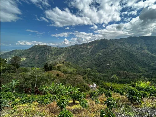 Se Vende Finca En Barragán