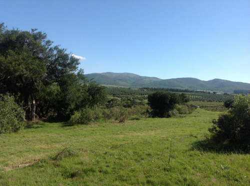 Chacra En Sierra De Las Animas