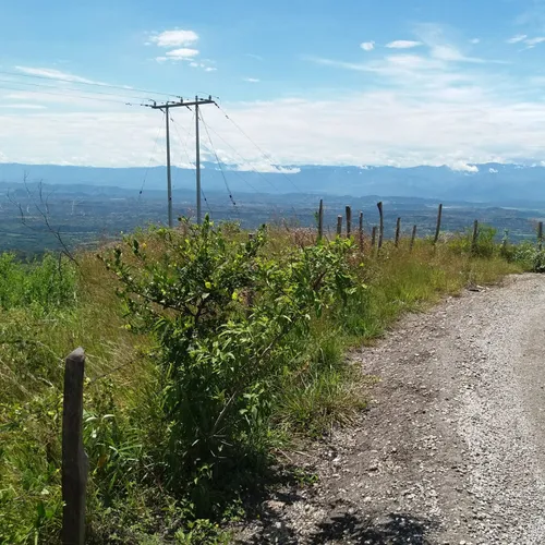 Excelente Finca En Armero