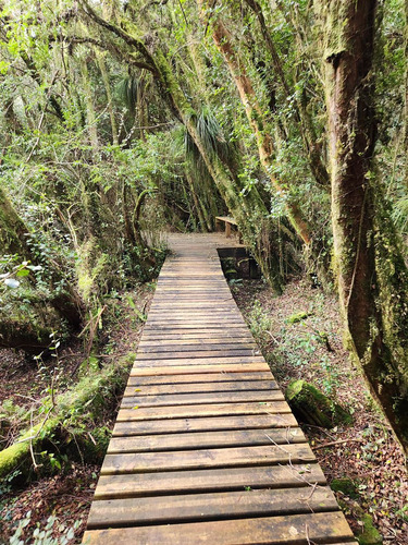 Parcela En Venta En Puerto Varas. Lomas Del Maullín.