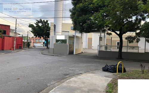 Imagem 12 de 15 de Galpão/pavilhão Para Alugar No Bairro Vila Marieta Em São - 1644-2