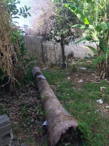 Imagen 12 de 18 de Terreno 220 M2 Escriturado, Colosio, Playa Del Carmen P3551