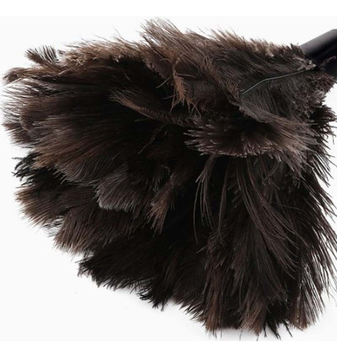 // Plumero Retráctil Con Plumas De Avestruz, 2 Uds.