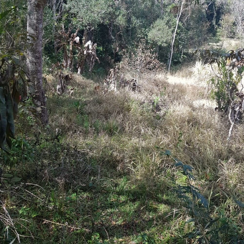 Imagem 7 de 14 de São Lourenço Da Serra/terreno C/riacho/gramado/ref: 05255