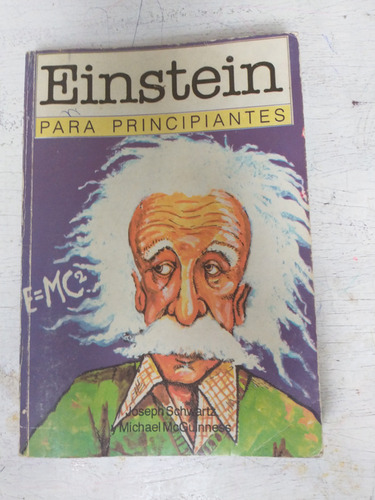 Einstein Para Principiantes Joseph Schwartz - M. Mcguinness