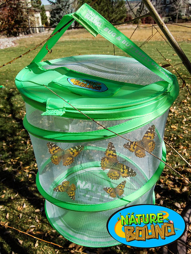 Kit De Hábitat Para El Cultivo De Mariposas Nature Bound Con