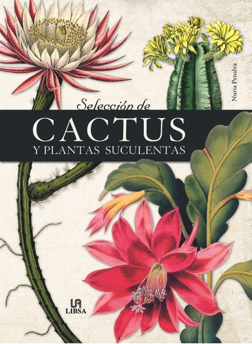 Libro: Selección De Cactus Y Plantas Suculentas. Penalva, Nu