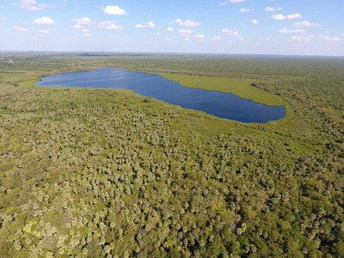 Imagen 4 de 8 de Campo En Formosa Argentina Agricola Ganadero Desmonte