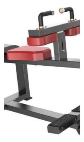 Máquina De Pantorrillas Sentada Seated G-fitness