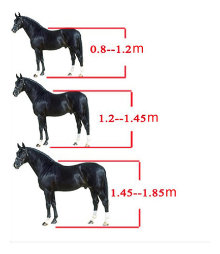 3 Cabezas De Arnés De Rienda De Brida Correa