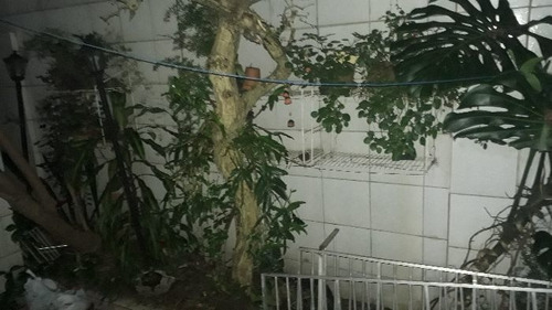 Casa À Venda Na Rua General Lima E Silva, Centro Histórico, Porto Alegre - Rs - Liv-10022