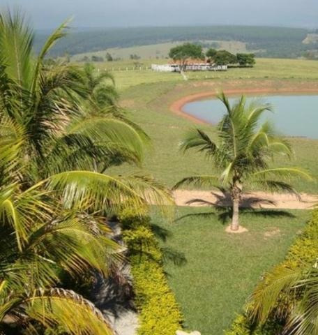 Imagem 14 de 14 de Fazenda Para Venda Em Bofete, Rural - Faz 098_1-2107800
