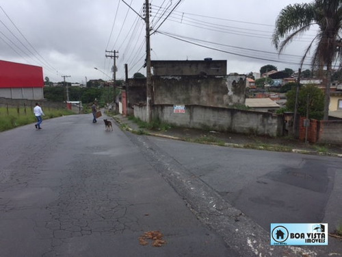 Imagem 3 de 3 de Terreno Em Rua - B0265-v