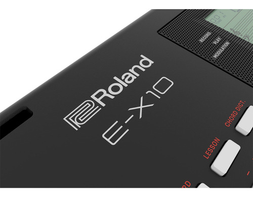 Teclado Arranger 61 Teclas E-x10