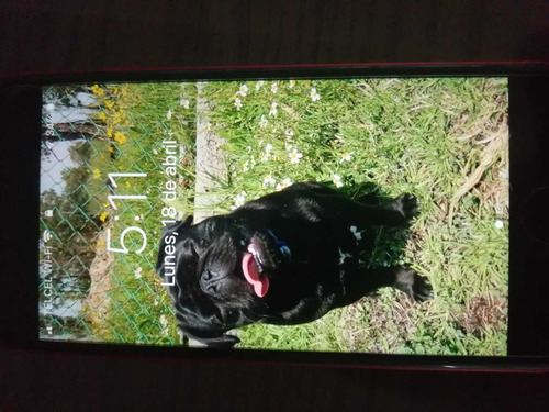 iPhone SE 2020 (Usado)
