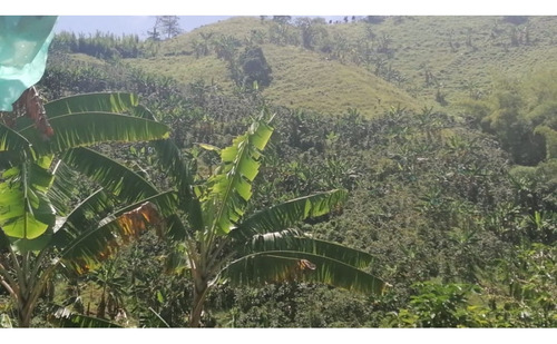 Vendo Finca Con Excelente Terreno Para Siembra
