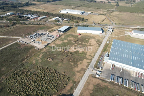 Imagen 3 de 18 de Terreno Fracción En Venta Ubicado En Los Cardales, Exaltación De La Cruz, G.b.a. Zona Norte