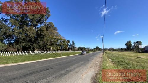 Imagen 11 de 20 de Chacra - Paso De La Arena