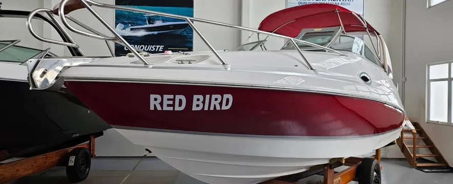 Lancha Focker 255 Ano 2010 Mercury Optimax 225hp Dfi Autolub