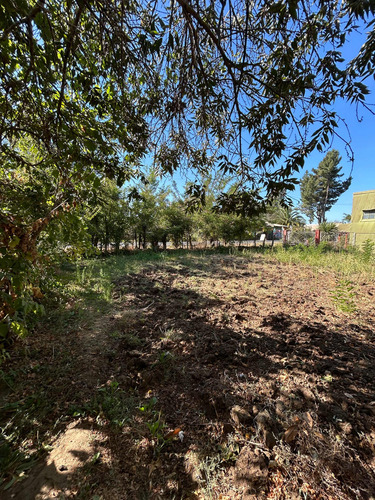 Propiedad Con Terreno De 6000 M2 Sector San Gerardo