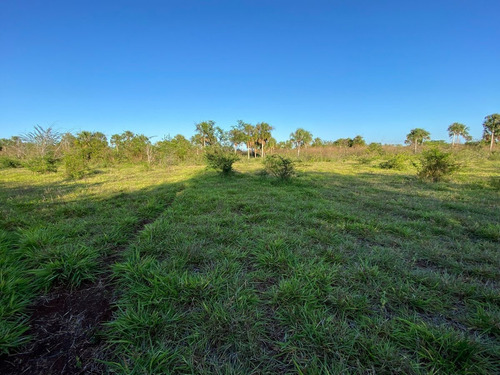 Rancho Ganadero En Tizimín, Yucatán