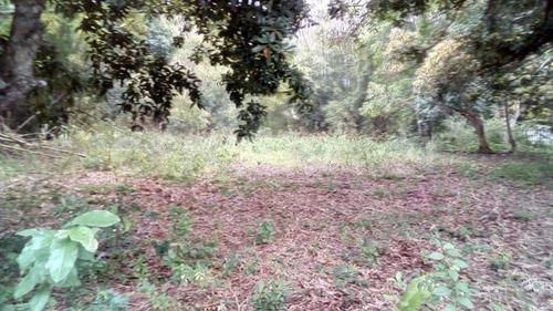 Venta De 3 Terrenos En Tuxpan Veracruz,a Un Costado Del Río.