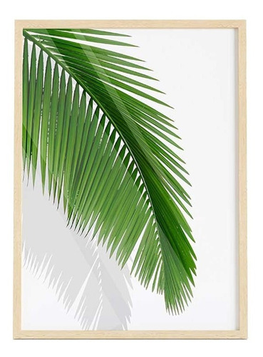 Cuadro Transparente Palm Leaf Ii 30 X 40 Cm  