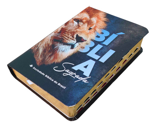 Biblia Sagrada Naa Leão Edição De Bolso Com Indice Lateral
