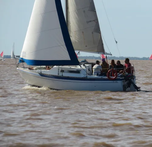 Velero Laser 23