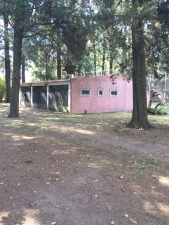 Imagen 3 de 25 de Permuta Vende Quinta 6700 Mts Cancha De Tenis Piscina Salón De Juegos