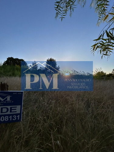 Terrenos Sobre Avenida En Venta, Tapalqué